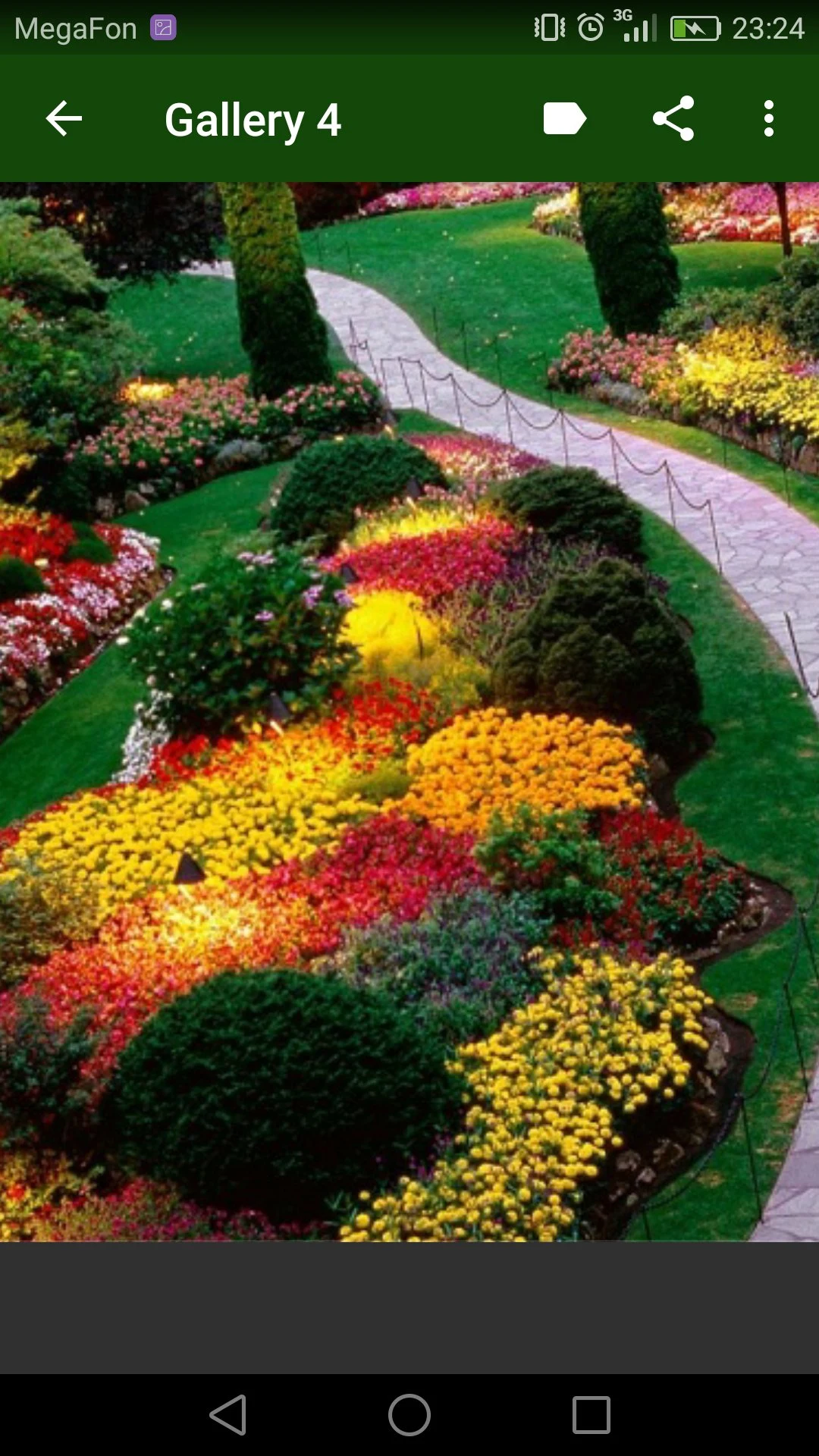 Landscaping Design screenshot